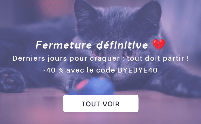 Fermeture définitive. Derniers jours pour craquer : tout doit partir ! -40 % avec le code BYEBYE40